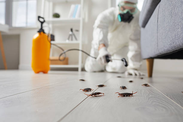 Commercial Kitchen Cockroach Control in East Moriches